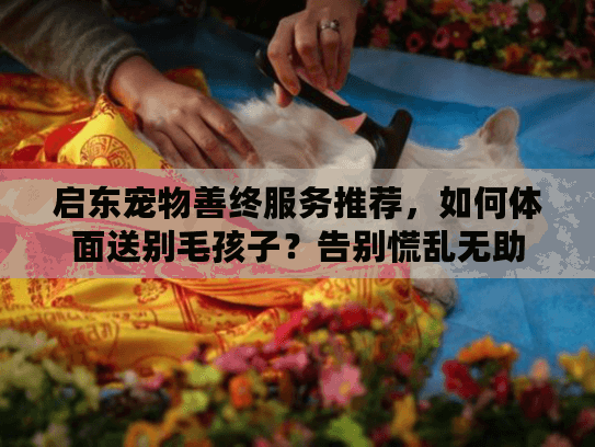 启东宠物善终服务推荐，如何体面送别毛孩子？告别慌乱无助
