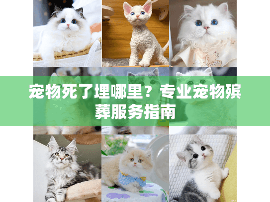 宠物死了埋哪里？专业宠物殡葬服务指南