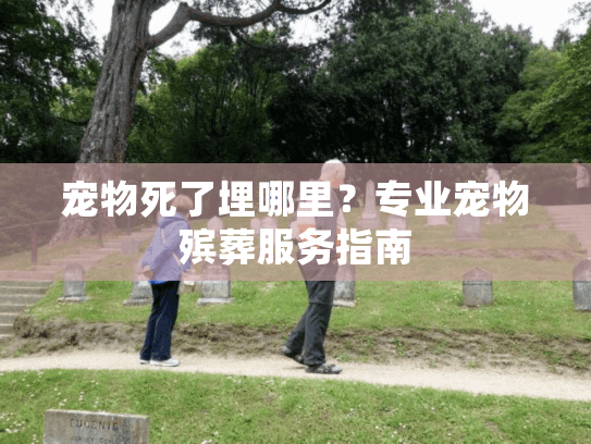 宠物死了埋哪里？专业宠物殡葬服务指南