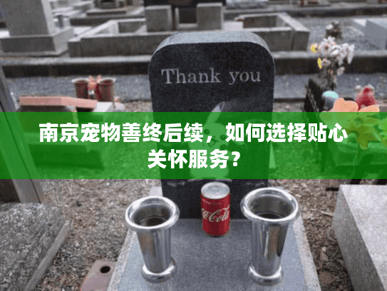 南京宠物善终后续，如何选择贴心关怀服务？