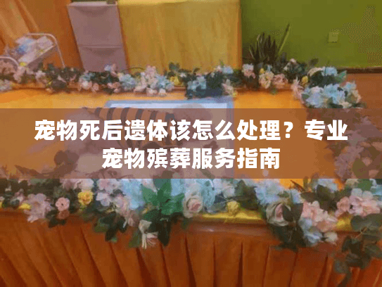 宠物死后遗体该怎么处理?专业宠物殡葬服务指南 宠物死后遗体该怎么处理?专业宠物殡葬服务指南