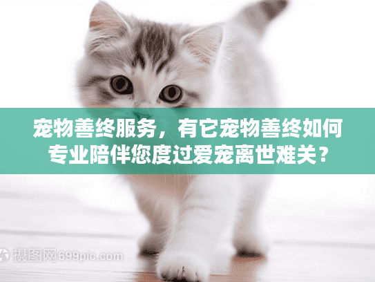 宠物善终服务，有它宠物善终如何专业陪伴您度过爱宠离世难关？