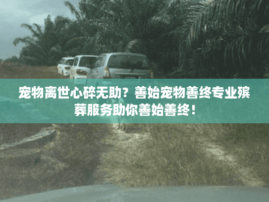 宠物离世心碎无助？善始宠物善终专业殡葬服务助你善始善终！