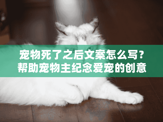 宠物死了之后文案怎么写？帮助宠物主纪念爱宠的创意指南