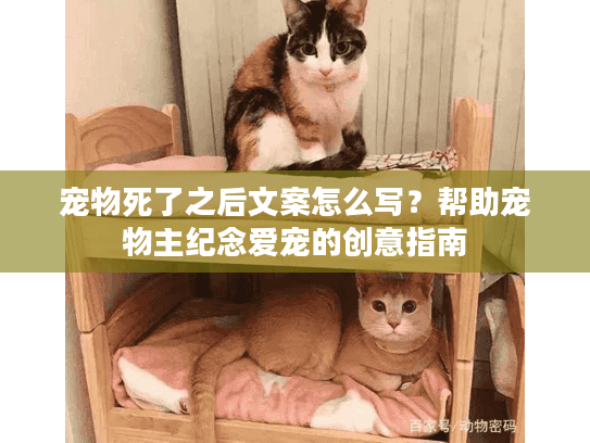 宠物死了之后文案怎么写？帮助宠物主纪念爱宠的创意指南