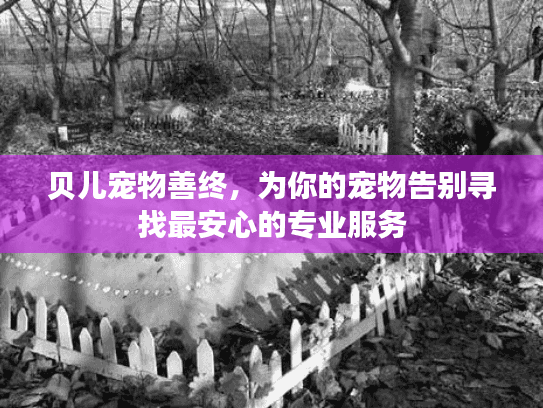 贝儿宠物善终，为你的宠物告别寻找最安心的专业服务