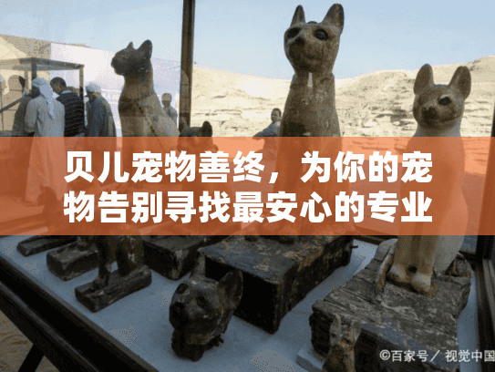贝儿宠物善终，为你的宠物告别寻找最安心的专业服务