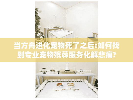 当方舟进化宠物死了之后:如何找到专业宠物殡葬服务化解悲痛?