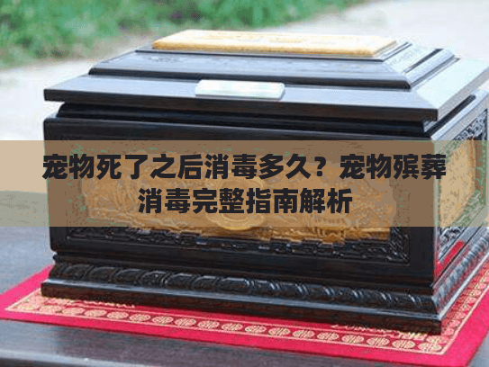 宠物死了之后消毒多久？宠物殡葬消毒完整指南解析