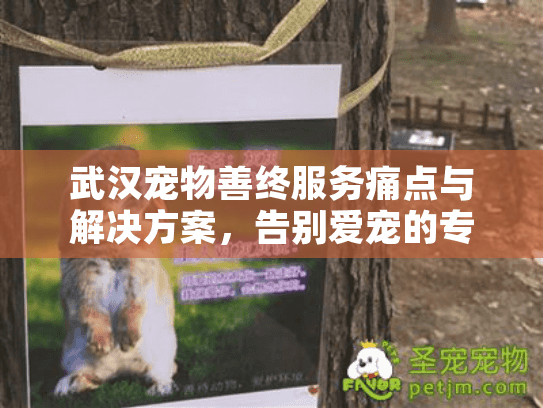 武汉宠物善终服务痛点与解决方案，告别爱宠的专业火化选择指南
