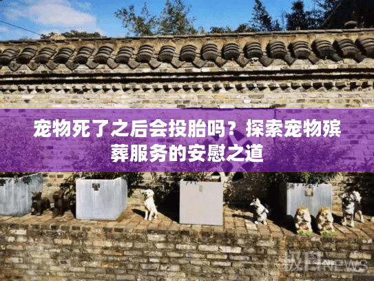 宠物死了之后会投胎吗？探索宠物殡葬服务的安慰之道