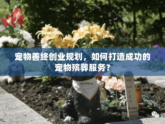 宠物善终创业规划，如何打造成功的宠物殡葬服务？