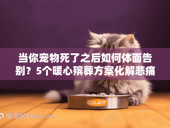 当你宠物死了之后如何体面告别？5个暖心殡葬方案化解悲痛