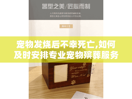 宠物发烧后不幸死亡,如何及时安排专业宠物殡葬服务？
