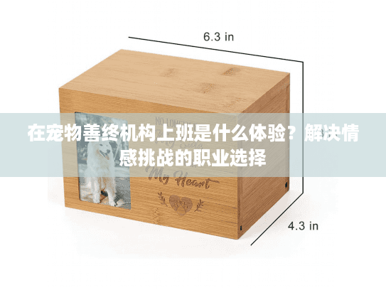 在宠物善终机构上班是什么体验？解决情感挑战的职业选择