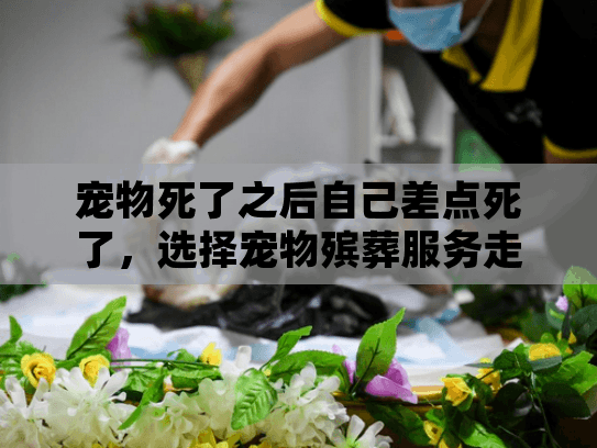宠物死了之后自己差点死了，选择宠物殡葬服务走出悲伤