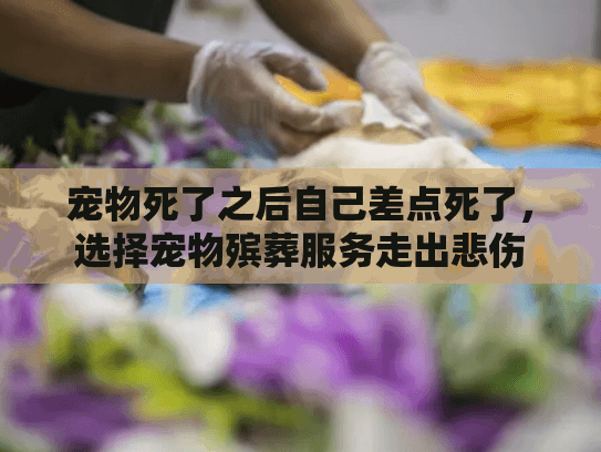 宠物死了之后自己差点死了，选择宠物殡葬服务走出悲伤