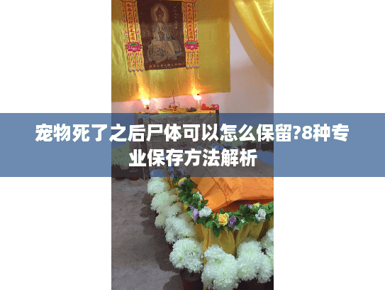 宠物死了之后尸体可以怎么保留?8种专业保存方法解析