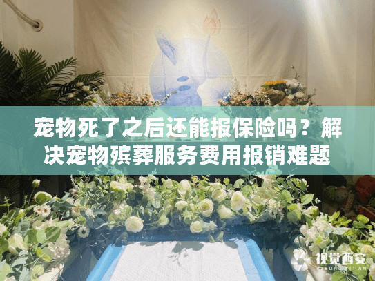 宠物死了之后还能报保险吗？解决宠物殡葬服务费用报销难题