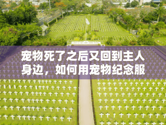 宠物死了之后又回到主人身边，如何用宠物纪念服务实现情感治愈？
