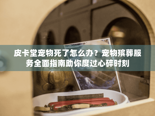 皮卡堂宠物死了怎么办？宠物殡葬服务全面指南助你度过心碎时刻
