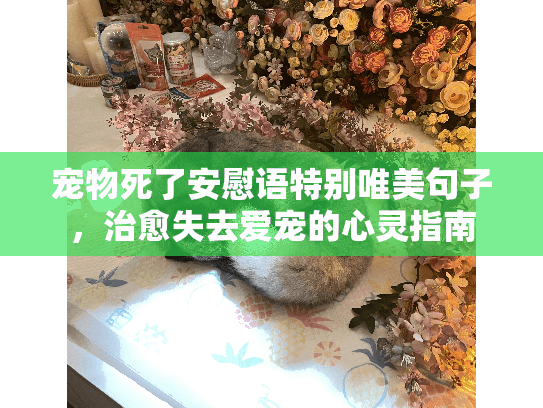 宠物死了安慰语特别唯美句子，治愈失去爱宠的心灵指南