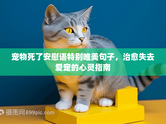 宠物死了安慰语特别唯美句子，治愈失去爱宠的心灵指南