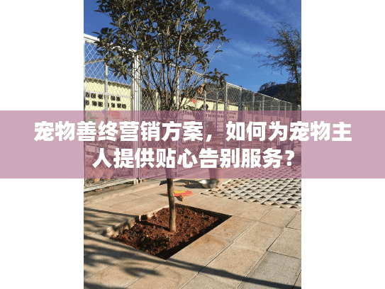 宠物善终营销方案，如何为宠物主人提供贴心告别服务？