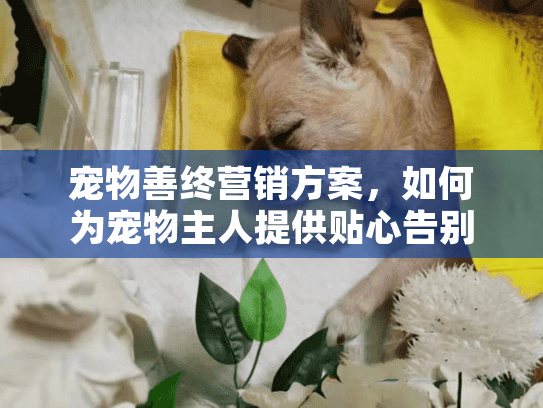 宠物善终营销方案，如何为宠物主人提供贴心告别服务？