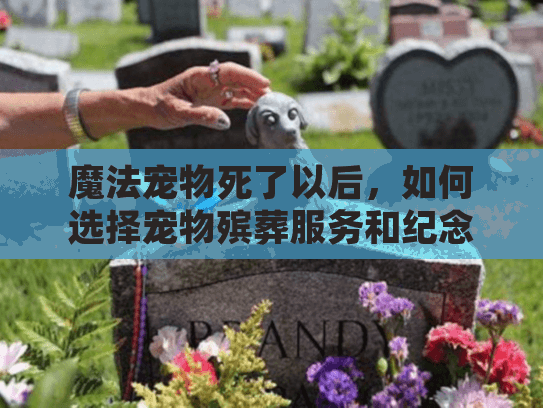 魔法宠物死了以后，如何选择宠物殡葬服务和纪念服务
