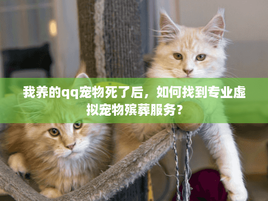我养的qq宠物死了后，如何找到专业虚拟宠物殡葬服务？