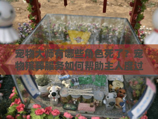 宠物大师有哪些角色死了？宠物殡葬服务如何帮助主人度过悲伤
