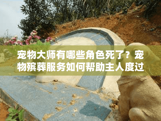 宠物大师有哪些角色死了？宠物殡葬服务如何帮助主人度过悲伤