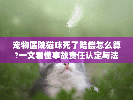 宠物医院猫咪死了赔偿怎么算?一文看懂事故责任认定与法律维权路径