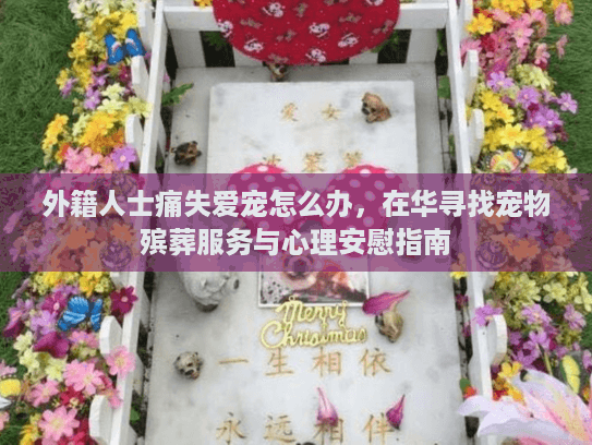 外籍人士痛失爱宠怎么办，在华寻找宠物殡葬服务与心理安慰指南