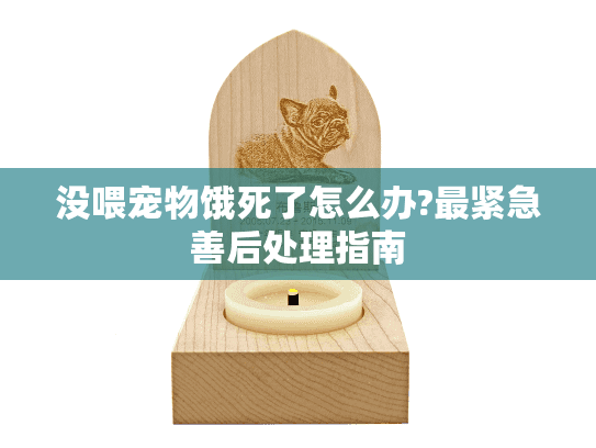 没喂宠物饿死了怎么办?最紧急善后处理指南