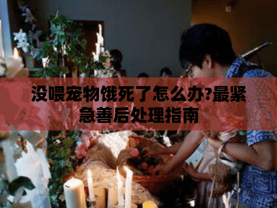 没喂宠物饿死了怎么办?最紧急善后处理指南