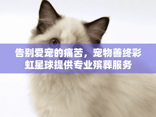 告别爱宠的痛苦，宠物善终彩虹星球提供专业殡葬服务
