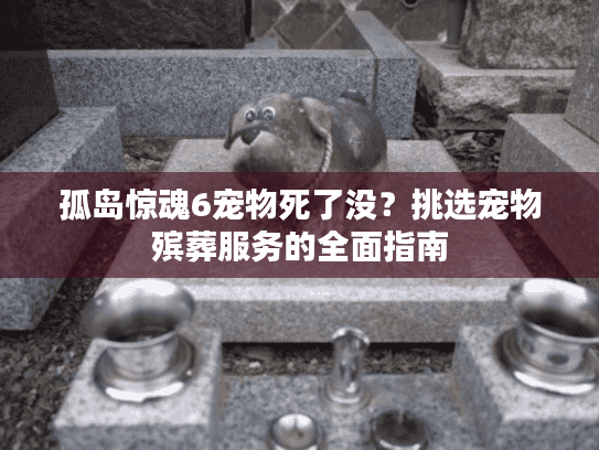 孤岛惊魂6宠物死了没？挑选宠物殡葬服务的全面指南