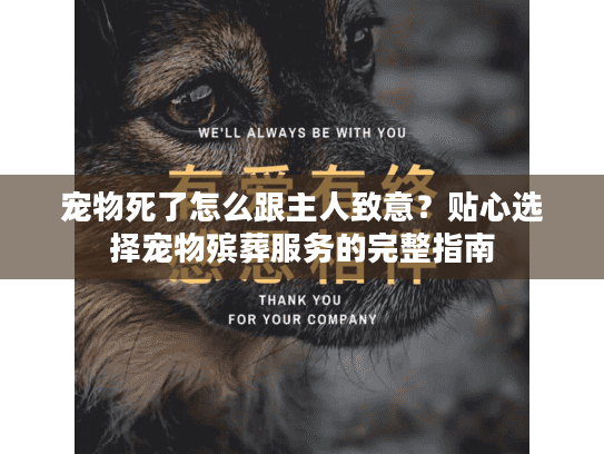 宠物死了怎么跟主人致意？贴心选择宠物殡葬服务的完整指南
