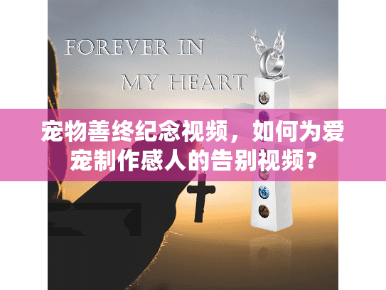 宠物善终纪念视频，如何为爱宠制作感人的告别视频？