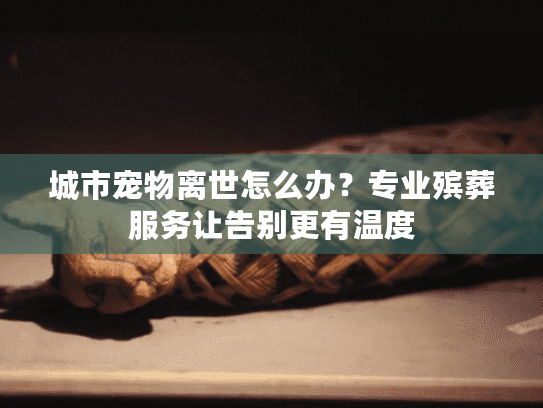 城市宠物离世怎么办？专业殡葬服务让告别更有温度