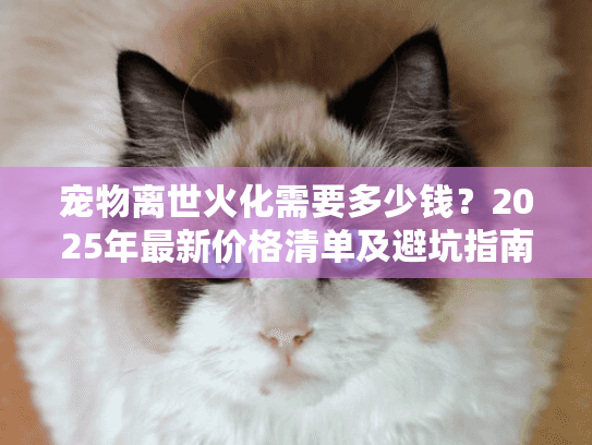宠物离世火化需要多少钱？2025年最新价格清单及避坑指南
