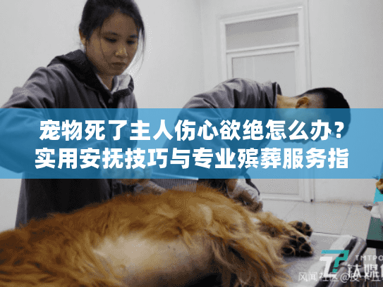 宠物死了主人伤心欲绝怎么办？实用安抚技巧与专业殡葬服务指南