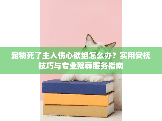 宠物死了主人伤心欲绝怎么办？实用安抚技巧与专业殡葬服务指南