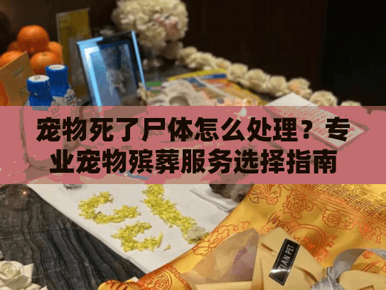 宠物死了尸体怎么处理？专业宠物殡葬服务选择指南