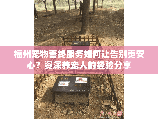 福州宠物善终服务如何让告别更安心？资深养宠人的经验分享