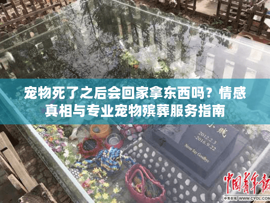 宠物死了之后会回家拿东西吗？情感真相与专业宠物殡葬服务指南