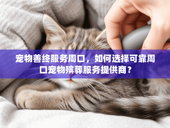 宠物善终服务周口，如何选择可靠周口宠物殡葬服务提供商？