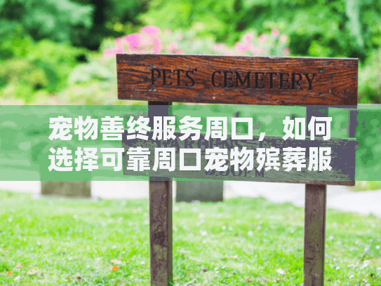 宠物善终服务周口，如何选择可靠周口宠物殡葬服务提供商？